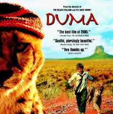 A postaszánt húzó kutyacsapat legújabb tagjaként. Duma A Vadon Hivo Szava Film 2005 Kritikak Videok Szereplok Mafab Hu