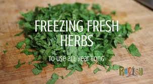 Once frozen, transfer into any airtight container for freezer storage without clumping. 4 Ways Of Freezing Herbs To Use All Year Long Rootsy Network