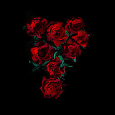 Black rose wallpapers hd android apps on google play 1024×768. Red Roses Wallpaper 4k Flower Bouquet Black Background 5k 8k Flowers 1518