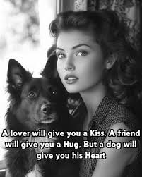 Hermanus Animal Welfare Society