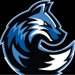 North Central Michigan College Shootout