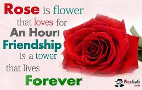 Friends Quotes Rose Forever Red Rose Pictures Rose Love Quotes Beautiful Rose Flowers
