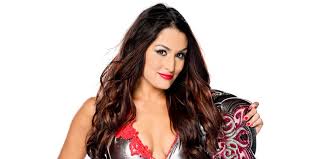 Valentine's day massacre february 15,1999. Ufc Champion Has A Valentine S Day Message For Nikki Bella