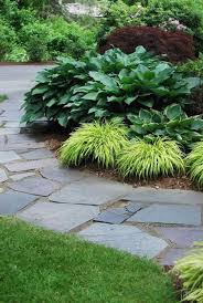 There are currently 5 types of flowers that have color variations, these are lilies, daisies, hyacinths, daffodils, and hibiscuses. 50 Front Yard Fillers Ideas Front Yard Outdoor Gardens Plants