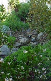 Pin On California Native Gardens