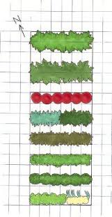 Your first summer might look unimpressive, but the second can look out of this. Designing A Vegetable Garden Howstuffworks