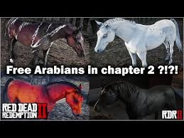 They are classified as elite superior horses. Red Dead Redemption 2 Best Horse How To Get Arabian White Coat Horse