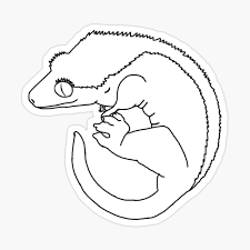 Gecko animals coloring pages coloring book. Crested Gecko Hardcover Journal By Shelbyygarris Redbubble