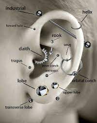 A Guide To Some Ear Piercings Featuring My Personal Favorite Tragus And Rook Cool Ear Piercings Ear Piercing Diagram Ear Piercings