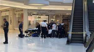 A 5 year old ! A Man Accused Of Throwing A Child From The Mall Of America S 3rd Floor Had Been