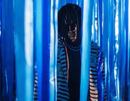 Stiphbami in music jan 10, 2020. Fireboy Dml Vibration Video Mp3 Download Notjustok