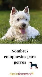 Nombres Compuestos Para Perros Nombres De Perros Nombres Compuestos Perros