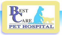 Best care pet hospital ⭐ , united states, sioux falls, 1102 e 10th street,: Best Care Pet Hospital Omaha Ne 3030 L St Cylex