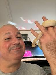 Just adopted a 3 month old banana pinstripe 😁 She seems happy here.