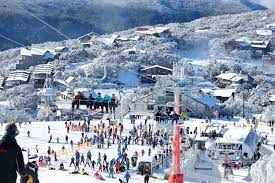 The app automatically pulls data feeds from the mtbuller.com.au website and updates continually. Mt Buller Ski Resort Ski Resorts Australia Mountainwatch