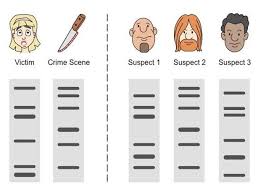 Laboratory tests used in cases of disputed paternity identify genetically determined gene products inherited in a dominant mendelian fashion. Genetic Fingerprinting A Level Biology Revision Notes