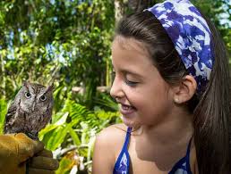 Roaring Into Our Future