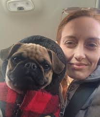 Hello, I'm a new pug owner with a rambunctious 9.5-month-old