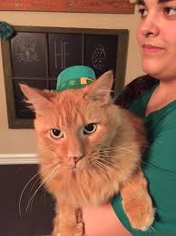 Miss Teen Caledonia, Brayleigh Jaide Riley