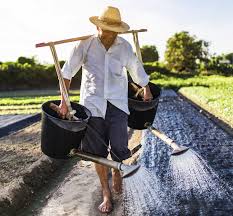 O dia mundial do meio ambiente, comemorado hoje (5), é uma data instituída pela onu (organização das nações unidas) para incentivar a conscientização e a mobilização pela proteção ambiental em todo o mundo. Hoje E Dia Do Produtor Rural E Dia Internacional Da Agricultura Familiar Organics News Brasil