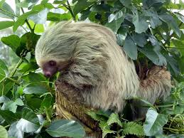 Nate garner nude this was my 2nd JAV actress and I was not