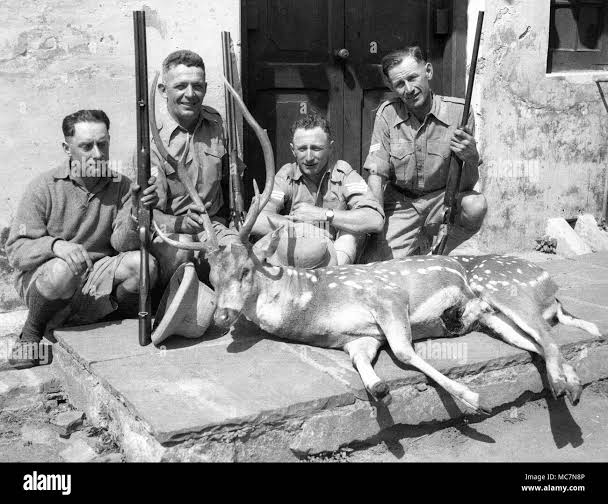 Colonial india hunting hi-res stock photography and images - Alamy