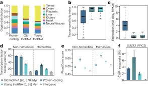 Maybe you would like to learn more about one of these? The Evolution Of Lncrna Repertoires And Expression Patterns In Tetrapods Nature