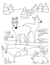 Also hol deine stifte heraus und mach dich an die arbeit. Hirsche Und Hasen Im Wald Winterbilder Ausmalbilder Tiere Zum Ausmalen Ausmalbilder Tiere