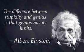 Stupid quotes crazy quotes great quotes funny quotes stupid inspirational quotes quirky quotes witty quotes humor quotes motivational quotes. I Know Some Days My Stupidity Is Limitless Albert Einstein Quotes Einstein Quotes People Quotes