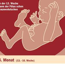 Durch die bauchwand kann das baby stimmen wahrnehmen. Embryonalentwicklung Was Ein Baby Im Bauch Schon Alles Lernen Kann Welt