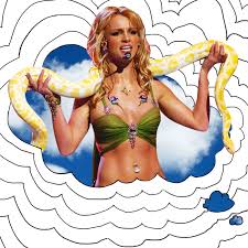 Image result for britney spears python