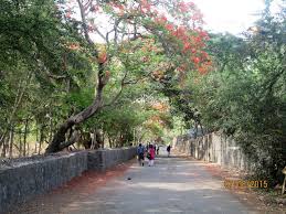 Madh Island- Weekend getaway from ...