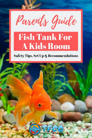 Let's take a glance at you can add some gravel and decor to the tank to enhance the overall look. Fish Tank In Toddlers Room Safety Set Up Tips Parent S Guide 2021