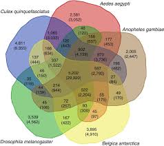 These insects have some seriously amazing adaptations. Compact Genome Of The Antarctic Midge Is Likely An Adaptation To An Extreme Environment Nature Communications