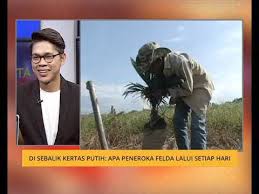Berbanding dengan bukan peneroka felda. Cerita Sebalik Berita Di Sebalik Kertas Putih Apa Peneroka Felda Lalui Setiap Hari Youtube