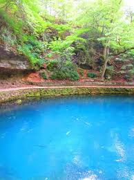 Blue spring is a designated manatee refuge. Blue Water Picture Of Maramec Spring Park Saint James Tripadvisor