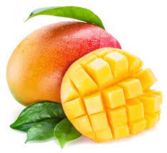 See more ideas about mango varieties, mango, fruit. 111 983 Mango Fruit Stock Photos Free Royalty Free Mango Fruit Images Depositphotos