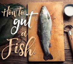 How To Gut A Fish Fresh Fish Cleaning Fish How To Cook Fish