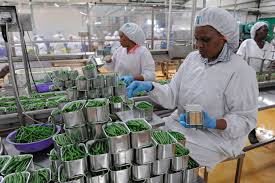 Industrie agroalimentaire — ● industrie agroalimentaire ensemble des entreprises qui participent à la transformation, à l élaboration et au conditionnement des produits d origine essentiellement agricole en vue d une consommation alimentaire humaine ou animale … encyclopédie universelle. L Agro Industrie A L Ile Maurice Entre Mutations Et Diversification Cabinet E Conseil Assistance