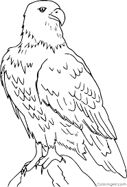 The bald eagle is the national bird of the united states. Bald Eagle Coloring Pages Coloringall