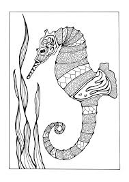 Pin On Adult Coloring Pages