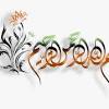 Download free bismillah png images. Https Encrypted Tbn0 Gstatic Com Images Q Tbn And9gcsymxhj2c7gvc4drpcztljsht5hfrwjr8g12ae8olscxuklxwpi Usqp Cau