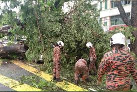 Claim kereta hempap pokok cuaca baik. Pokok Tumbang Hempap Kereta Pemandu Maut Astro Awani