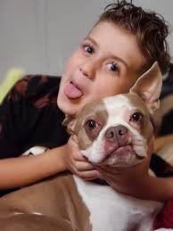 Lost and Found Pets of Clarksville Tennessee