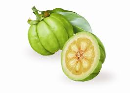 Image result for Garcinia acutifolia
