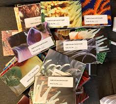 Add&Pass Cut&Paste Zine