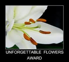 Image result for Vernonia glabra