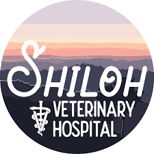Maybe you would like to learn more about one of these? Los Angeles Mobile Veterinarian Shiloh Veterinary Hospital