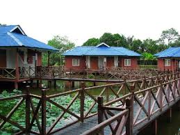 Yelaa, dh lame pun kami nk g, tp tak sempat2 pon. Spectacular Firefly Kelip Kelip Show By Nature Review Of Firefly Park Resort Kuala Selangor Tripadvisor