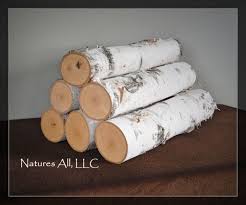 Decorative White Birch Logs For Fireplace Decorative White Birch Fireplace Logs 6 Piece Set 16 Inch Lengths 3 4 Inch Large End Diameters Rustic Home Decor Shipping Included Christmas Deco